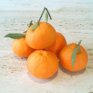 Mandarina clementina mediana