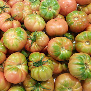 Tomate raf Delizia
