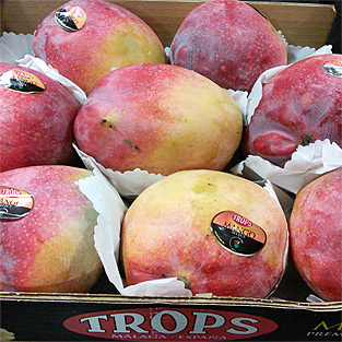 Trops - Mango Kent nacional