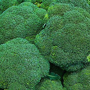 Brócoli 
