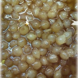 Garoliva - Cebollitas caramelizadas 
