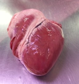Corazón de cerdo