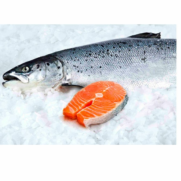 Salmon Noruego, medio de 2kg a 6kg con media cabeza