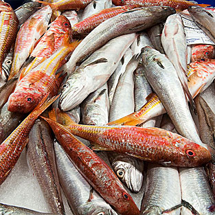 Pescado mediano para fritura de Santa Pola
