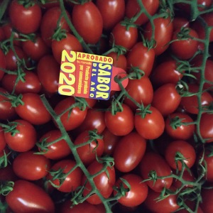 Lobello - Tomate cherry